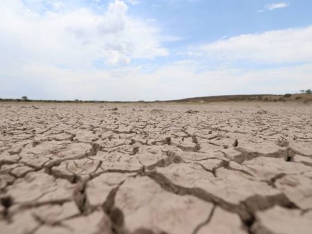 Sequía abate a Nuevo León y los municipios más afectados son de la región citrícola