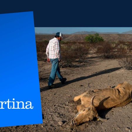 Lecciones norteñas sobre una sequía | La Vespertina | Podcasts