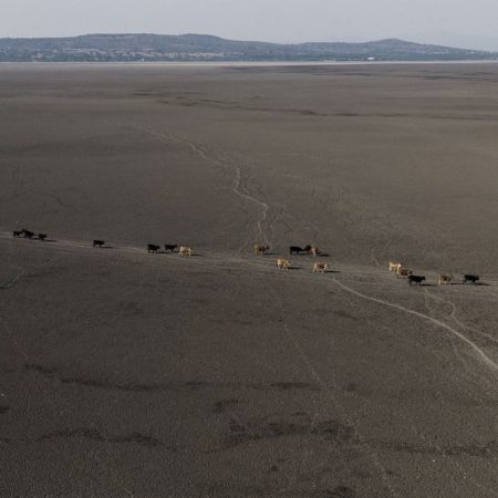 Conagua: Las autoridades declaran el inicio de la emergencia por sequía en México