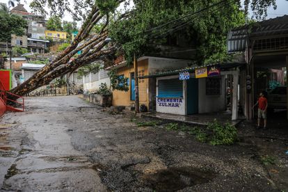 Un árbol caído sobre una vivienda tras el paso de la depresión tropical Doce-E , que se convirtió en el huracán Kay, en Acapulco.