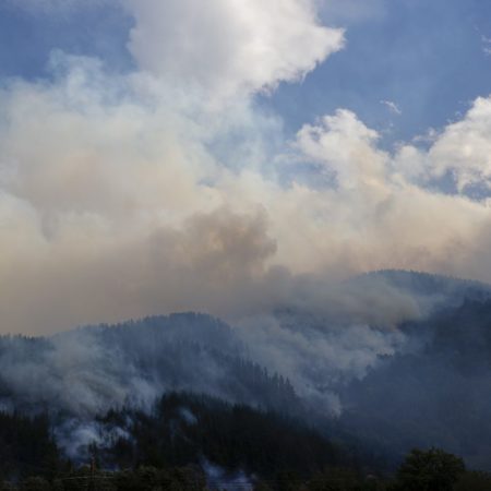 Fuego: El incendio de Balmaseda salta a Burgos, avivado por los vientos fuertes | España