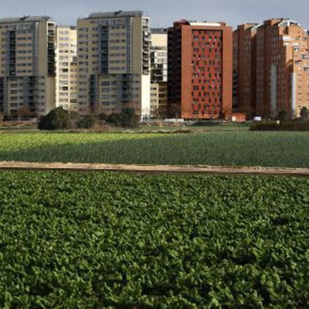 Valencia está en racha: cuatro capitalidades internacionales y los Gay Games | Comunidad Valenciana