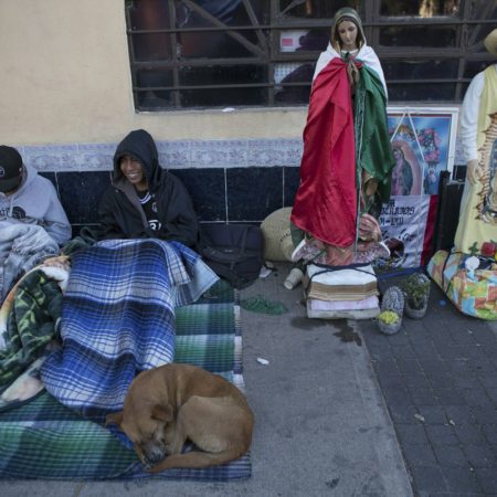 Más de 150 ‘perros peregrinos’ no tienen una casa a la que volver después del día de la Virgen de Guadalupe