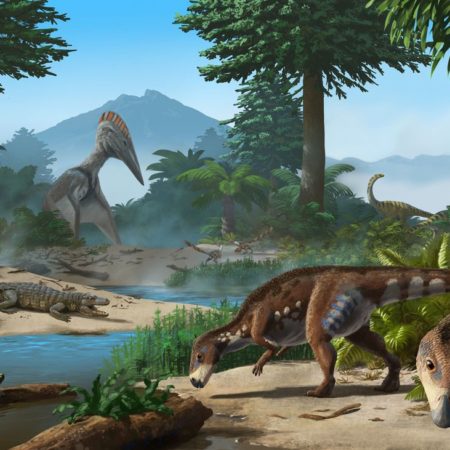 Transylvanosaurus: Hallan en Transilvania una nueva especie de dinosaurio enano herbívoro que vivió hace 70 millones de años | Ciencia