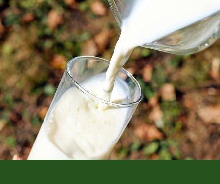 Cinco marcas de leche fresca que recuperan su auténtico sabor