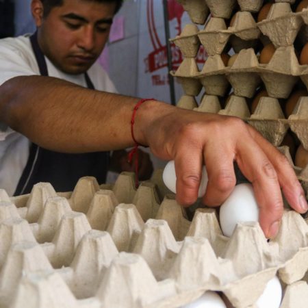 El aumento de los precios precios del huevo en EE UU abre la puerta a la comercialización clandestina desde México