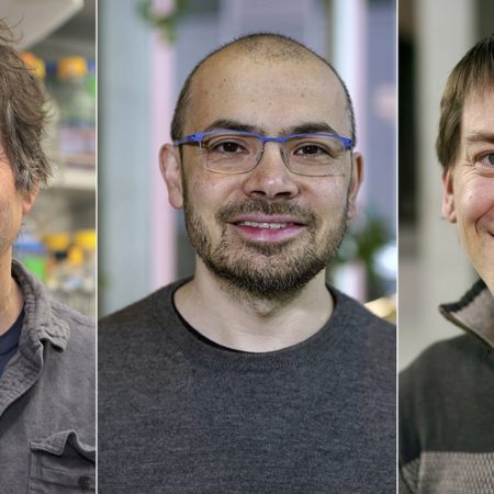 Los investigadores que han revolucionado el estudio de proteínas con inteligencia artificial ganan el Premio Fronteras del Conocimiento | Ciencia