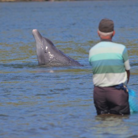 Una “cultura compartida”: los delfines que cooperan con pescadores artesanales para obtener un botín mayor | Ciencia