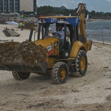 La temporada de sargazo se adelanta en las playas del Caribe mexicano