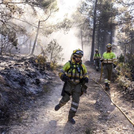 Crece el desasosiego entre los vecinos evacuados por el incendio de Castellón: “Han pasado siete días y aún no sé nada de mi perro” | Comunidad Valenciana | España
