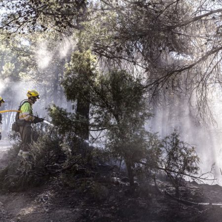 El incendio de Castellón inicia cuatro horas críticas por el viento de poniente y las altas temperaturas | Comunidad Valenciana | España