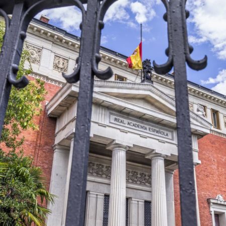 RAE: La Real Academia Española niega haber modificado la norma sobre el uso de la tilde en solo | Cultura