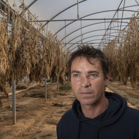 Un cultivador de cáñamo imputado por tráfico de drogas y después exonerado: “Me han arruinado” | Cataluña