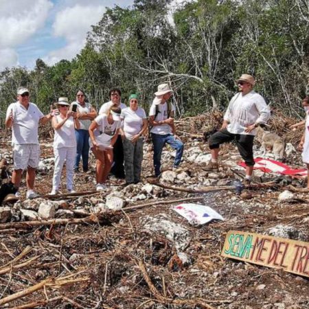 La comisión ambiental del TMEC pide abrir un ‘expediente de hechos’ sobre el impacto del Tren Maya