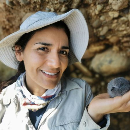 La mexicana Yuliana Bedolla gana el prestigioso premio Whitley por proteger a las aves del Pacífico | América Futura