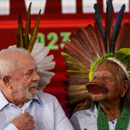 Lula retoma la creación de reservas indígenas en Brasil que Bolsonaro paró en seco | Clima y Medio Ambiente