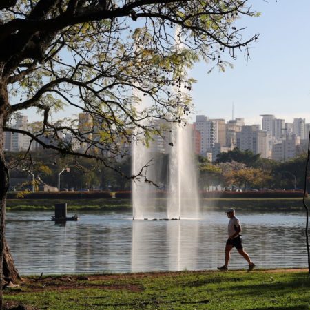 Privatizar parques públicos, el controvertido plan para rescatar las zonas verdes en Brasil | América Futura