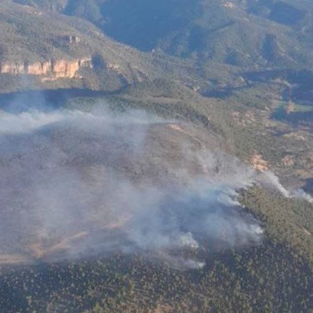 Un incendio forestal que amenaza el Parque Natural de Alto Tajo calcina 180 hectáreas en Guadalajara | España