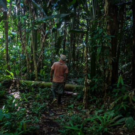 La deforestación en Colombia disminuye: se redujo en un 10% en 2022, según el Gobierno | América Futura