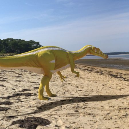 Un “campeón amarillo”: descubierto en Castellón un dinosaurio depredador de 11 metros de largo | Ciencia