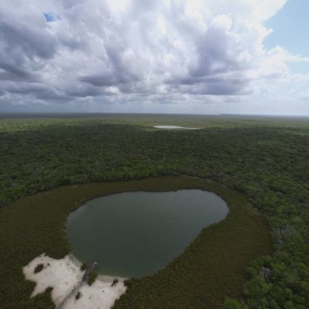 Una ciudad de 10.000 hectáreas amenaza la selva de Yucatán